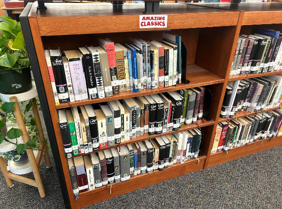 The classical literature books that the Bay Shore High School’s library provides.
