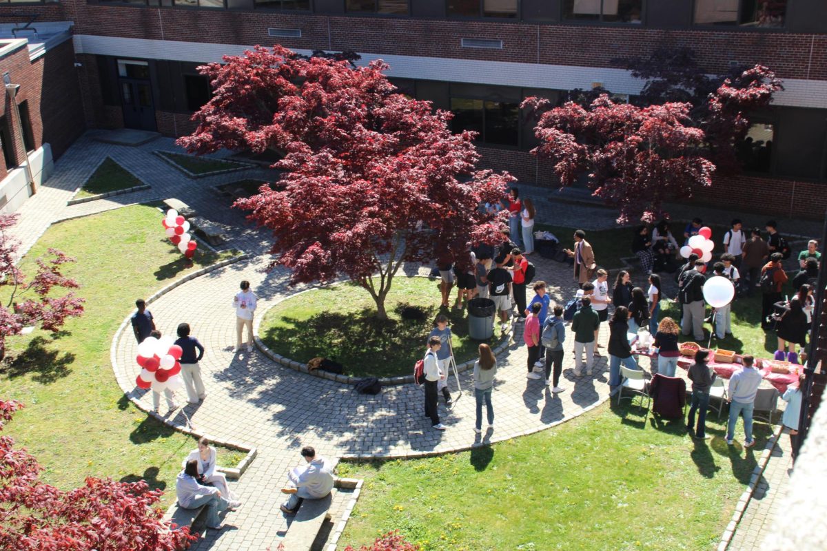 Seniors celebrate Decision Day