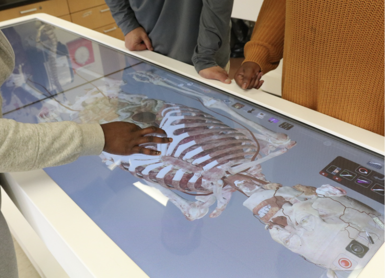 Students look at the anatomage table with Mr. Paleogopoulos.

